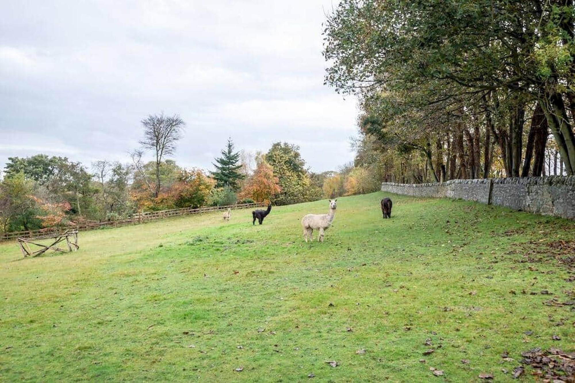 Park View Cottages - The Granary Boarhills 外观 照片